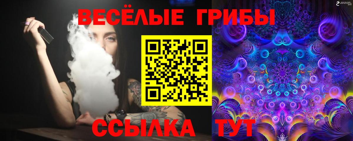 LSD-25 Дзержинский